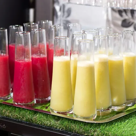 The One Hotel - Designed For Adults - Pet Lovers-2